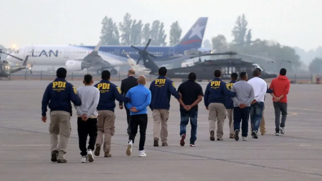 Análisis de expulsiones de inmigrantes: delitos por ley antidrogas y robo con intimidación.