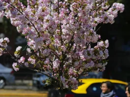 Descubre cuándo comienza la primavera y despídete del invierno.