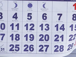 El Gobierno propone eliminar un feriado histórico: ¿cuál será el afectado?