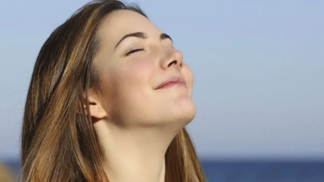 Transforma tu hogar con un aromatizante cítrico casero y fresco.