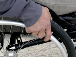 Descubre cómo funciona el APSI y quiénes pueden acceder a este beneficio estatal.