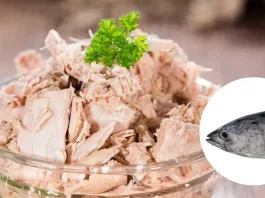 Descubre los riesgos del mercurio en el atún y la cantidad segura para consumir.