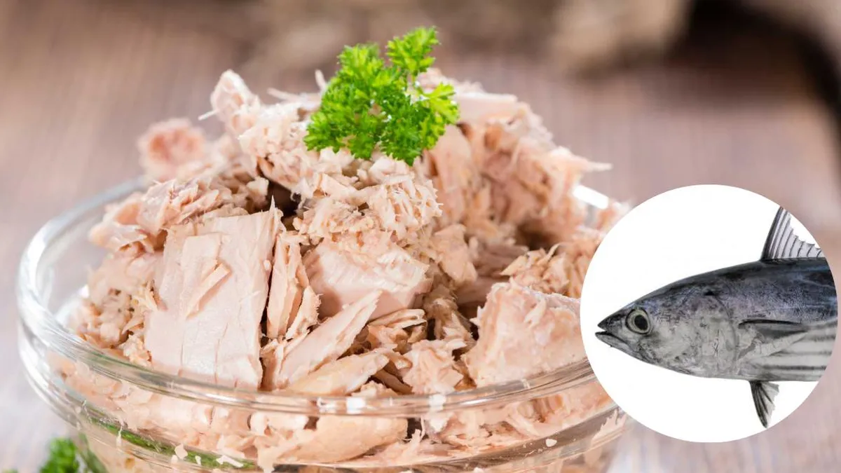 Descubre los riesgos del mercurio en el atún y la cantidad segura para consumir.