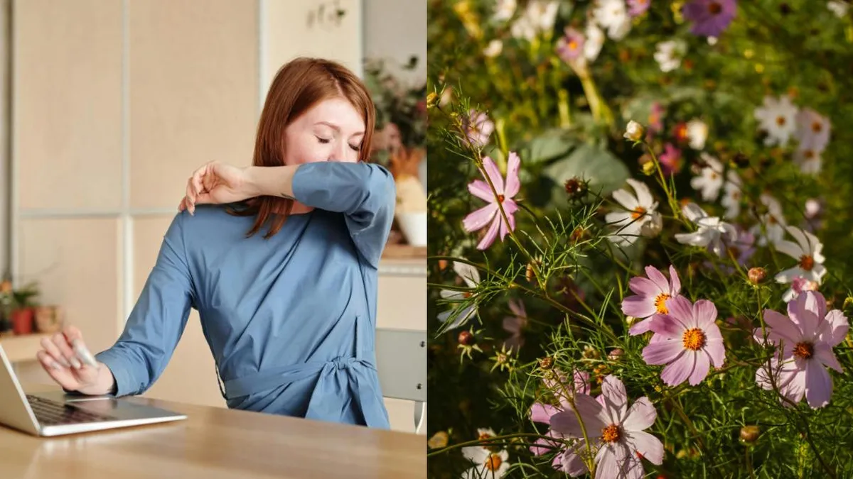 Alergia estacional vs. resfriado: claves para identificar y tratar correctamente.