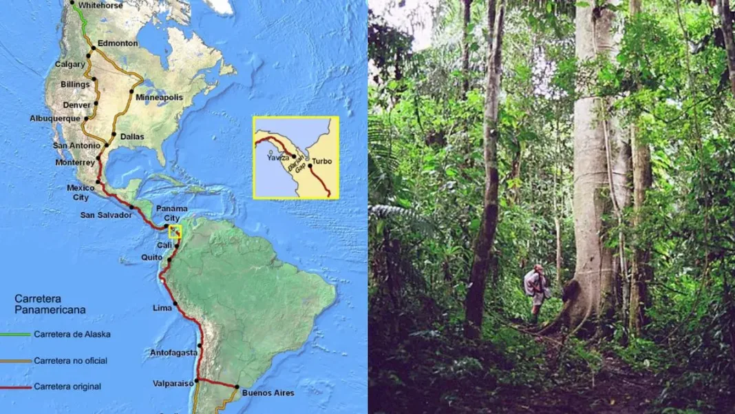 Explora los riesgos del Darién y la difícil travesía terrestre en América.