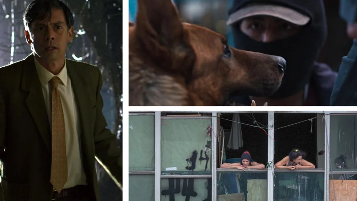 FICVIÑA presenta su selección oficial de largometrajes y el Foco de país invitado.