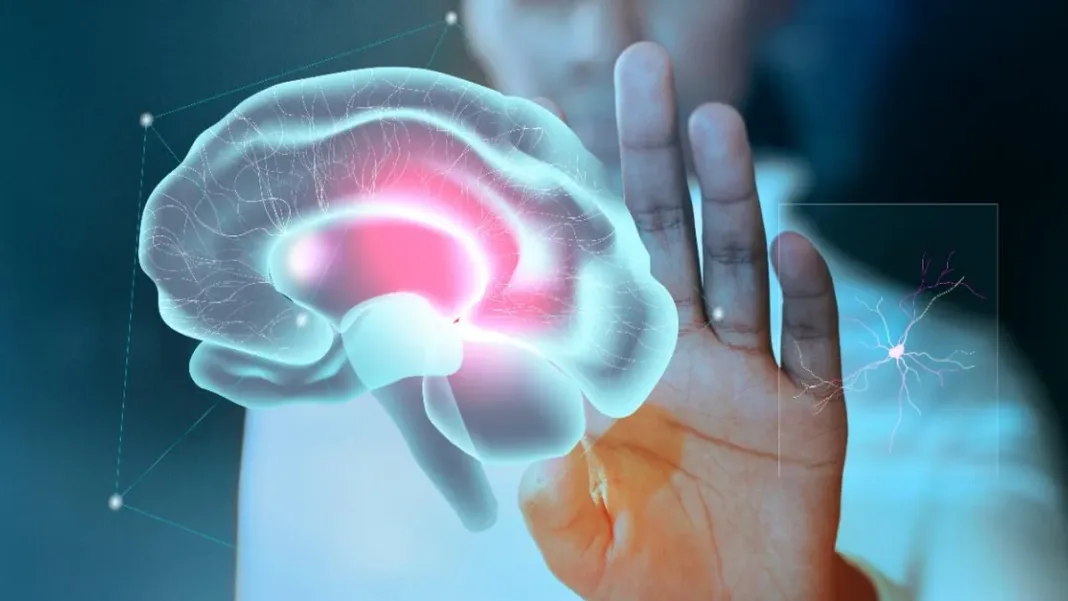 Explorando la vulnerabilidad humana: el encogimiento cerebral y su futuro incierto.