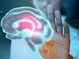 Explorando la vulnerabilidad humana: el encogimiento cerebral y su futuro incierto.