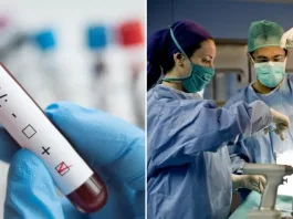 Polémica en Brasil: 6 pacientes contraen VIH por trasplantes de órganos infectados.