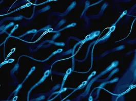 La creciente demanda de reversión de vasectomía: causas y factores de éxito.