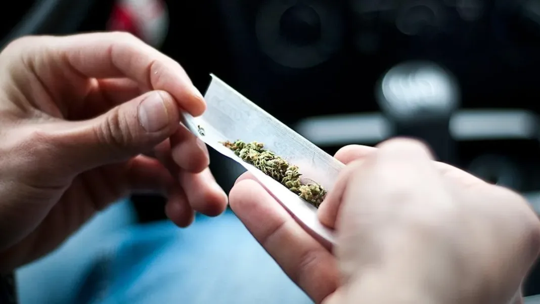 El consumo de marihuana entre adolescentes en EE. UU. muestra una notable disminución. El consumo de marihuana entre adolescentes en EE. UU. muestra una notable disminución.