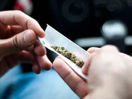 El consumo de marihuana entre adolescentes en EE. UU. muestra una notable disminución.