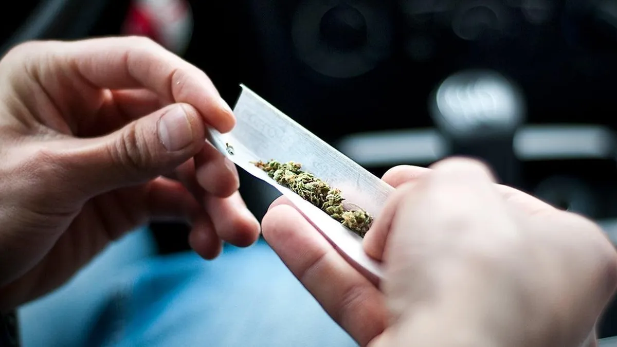 El consumo de marihuana entre adolescentes en EE. UU. muestra una notable disminución. El consumo de marihuana entre adolescentes en EE. UU. muestra una notable disminución.