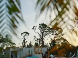 Una reportera rescata a una perrita entre los escombros del huracán Milton en Florida.