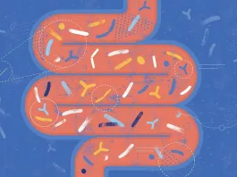 Explora cómo la microbiota influye en la salud más allá del intestino y los pulmones.