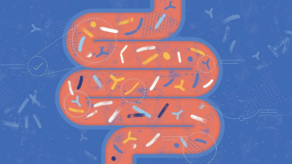 Explora cómo la microbiota influye en la salud más allá del intestino y los pulmones.