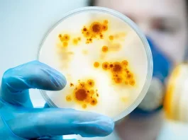 Día Mundial de la Meningitis: Prevención y cuidado para nuestros niños.