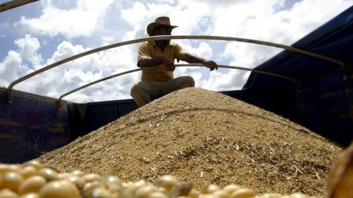 Argentina alcanza un récord histórico en importación de soja en septiembre.