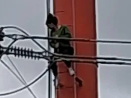 Heroica intervención: trabajadora municipal salvó a mujer de un intento de suicidio en Angol.