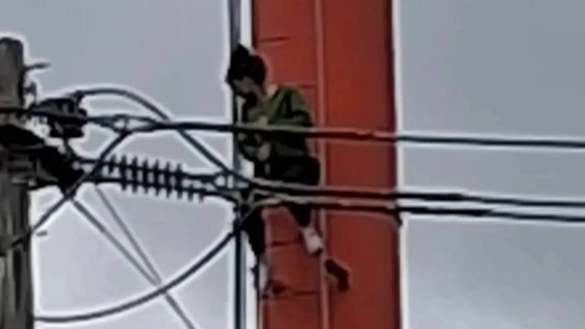 Heroica intervención: trabajadora municipal salvó a mujer de un intento de suicidio en Angol.