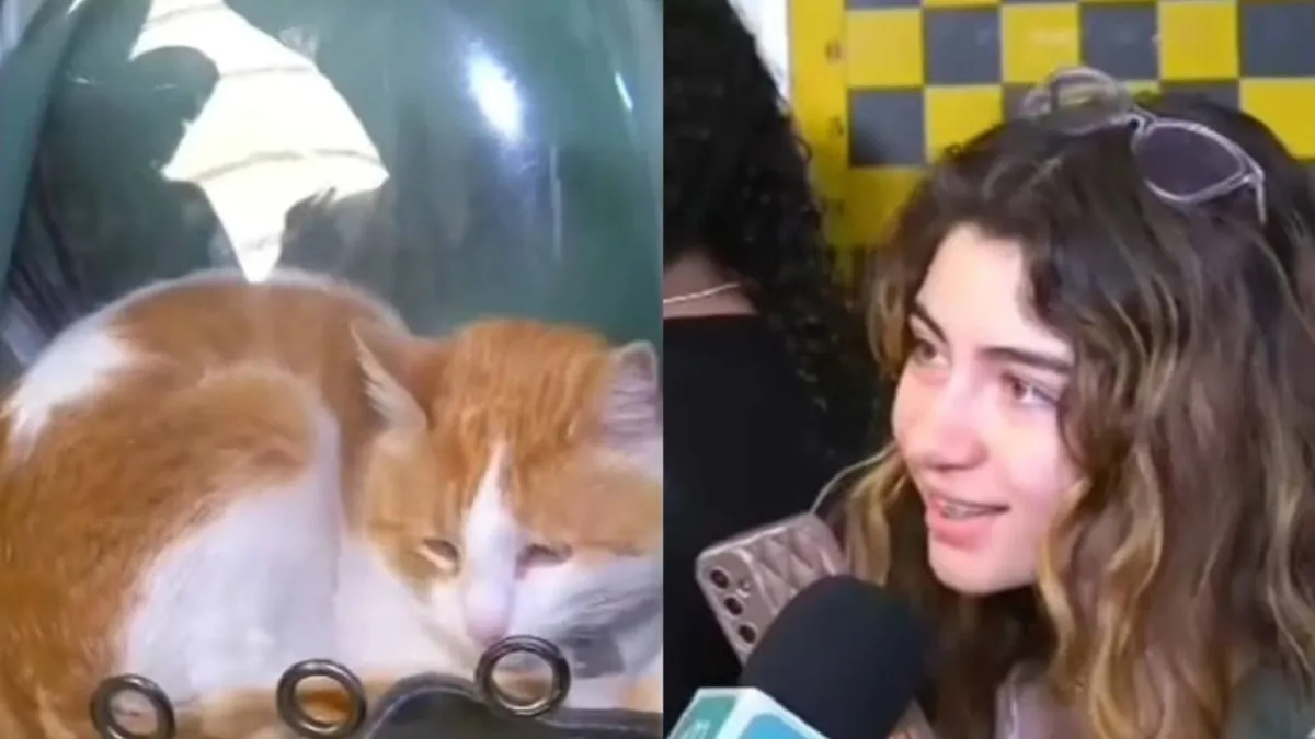 Un votante rinde homenaje a Pedro Carcuro con su gato en un emotivo gesto.