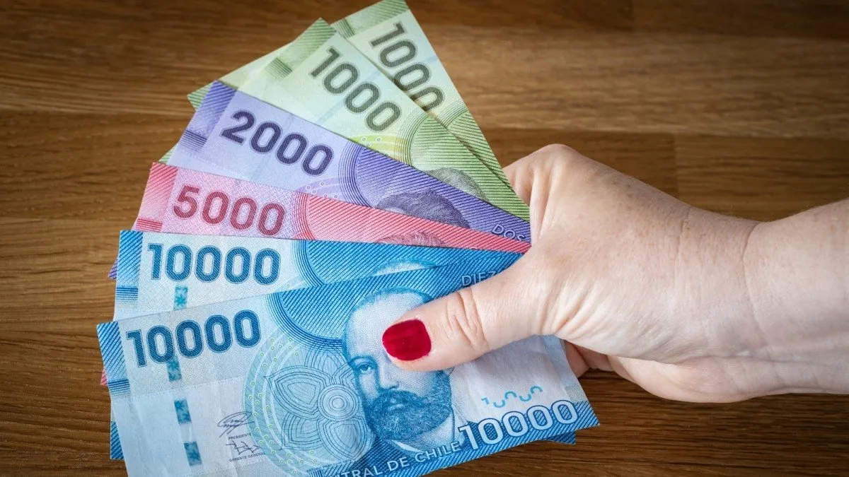 Explora los beneficios estatales disponibles para adultos mayores en bonos.