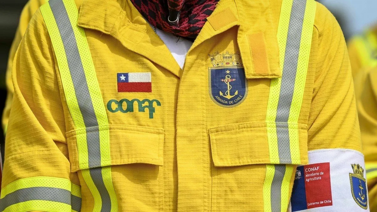 Postulaciones abiertas para brigadistas forestales: descubre los sueldos ofrecidos.