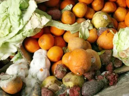 Un hombre condenado por buscar comida en un basurero en Austria.