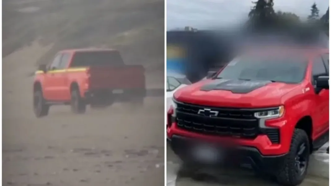 Conductor que mató aves en Ritoque es identificado y se emite orden de detención.