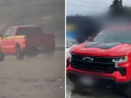 Conductor que mató aves en Ritoque es identificado y se emite orden de detención.