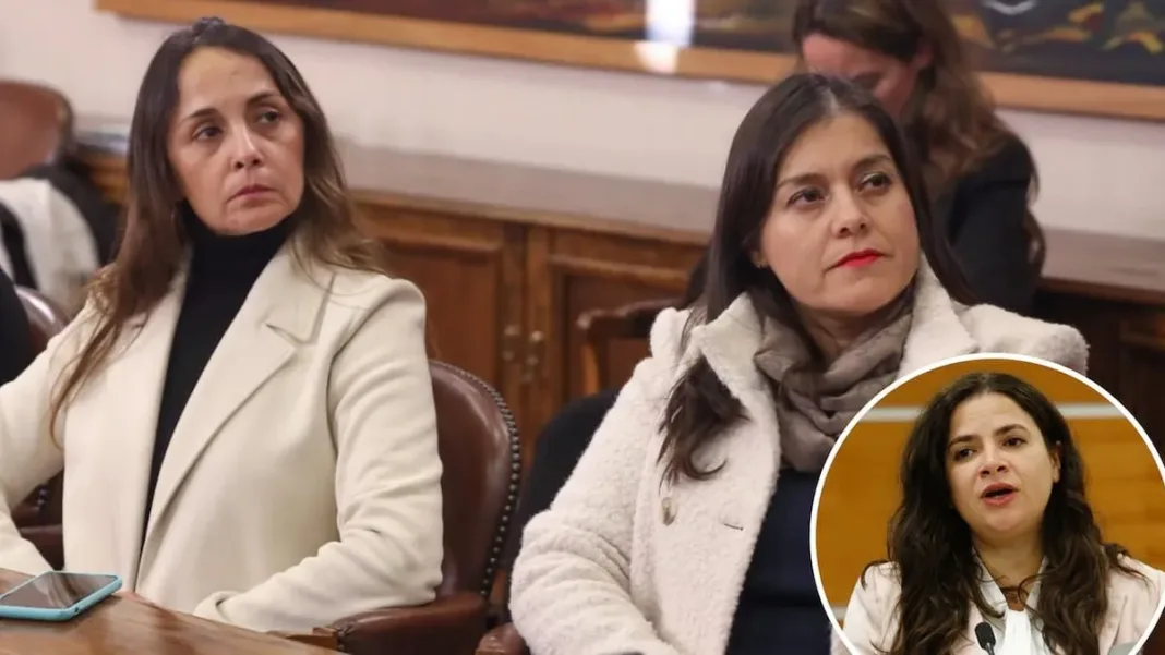 Diputadas piden la renuncia de Antonia Orellana tras el Caso Monsalve.
