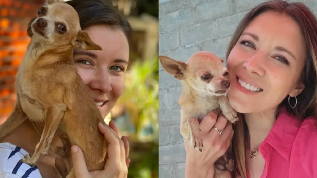 Carla Jara expresa su dolor tras la pérdida de su amado perrito Alf Carla Jara expresa su dolor tras la pérdida de su amado perrito Alf