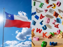 Palabras que definen la percepción internacional de Chile: Pinochet y los Andes.