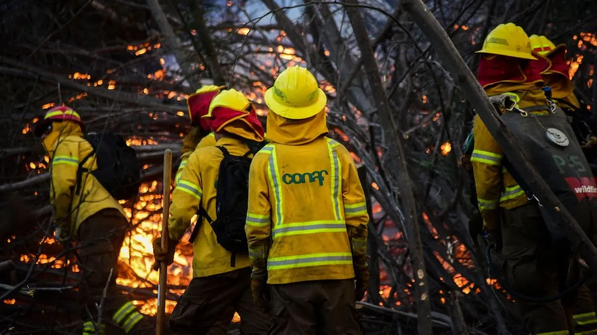 CONAF activa Botón Rojo en 51 comunas de Chile por riesgo de incendios forestales.