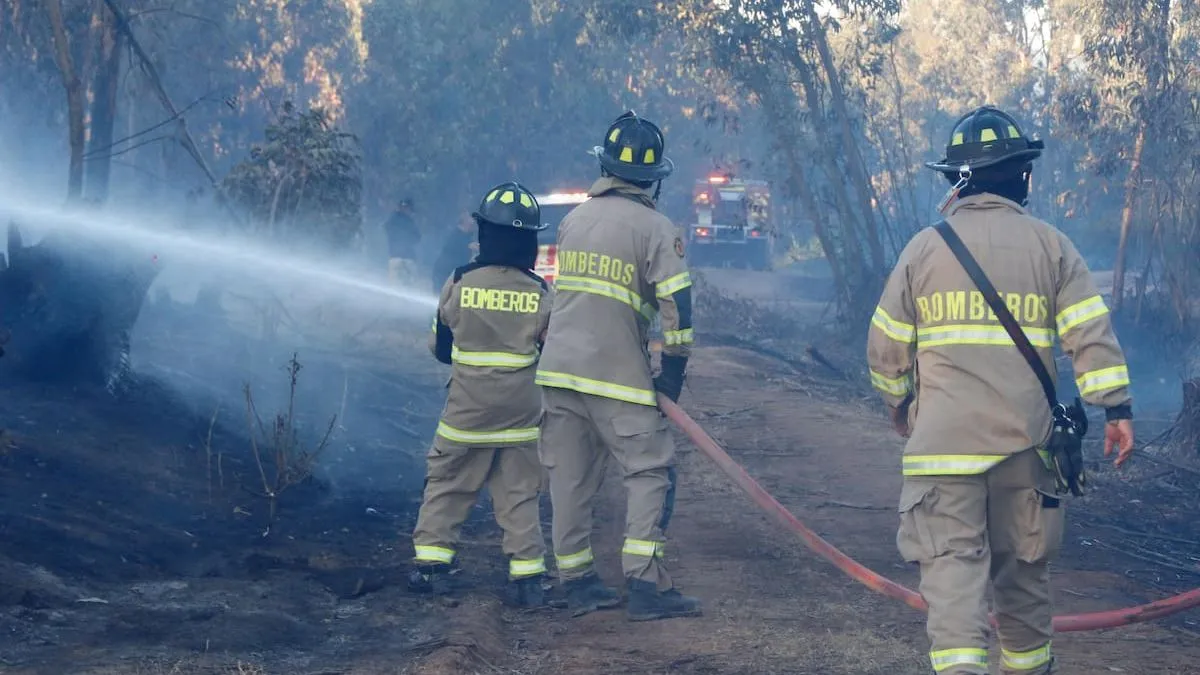 Incendios en Valparaíso: 135 hectáreas afectadas y alertas rojas activadas.