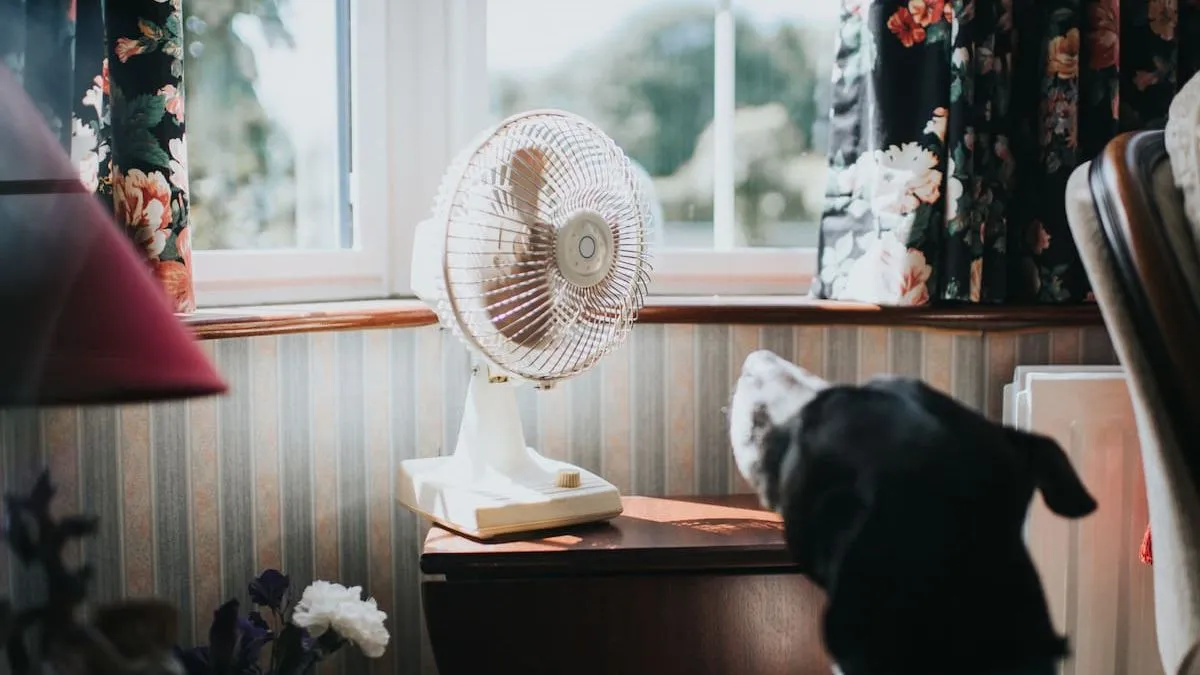 Descubre cómo hacer que tu ventilador enfríe como un aire acondicionado con este truco.