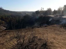 Alerta Roja en Valparaíso: incendio consume una hectárea y una vivienda.