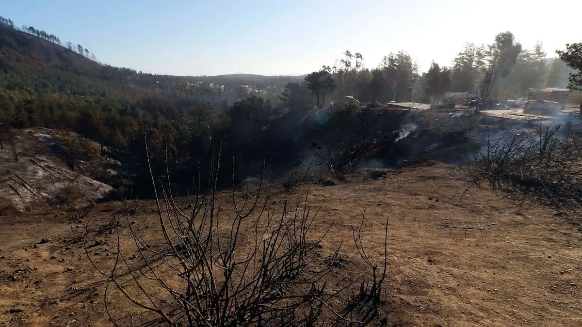 Alerta Roja en Valparaíso: incendio consume una hectárea y una vivienda.