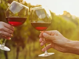 El vino chileno reconocido como "el mejor del 2024" por Wine Spectator.