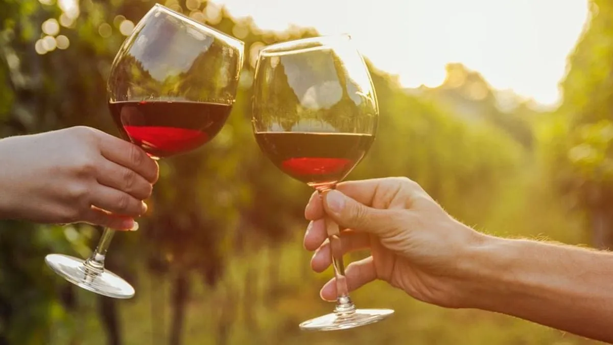 El vino chileno reconocido como "el mejor del 2024" por Wine Spectator.