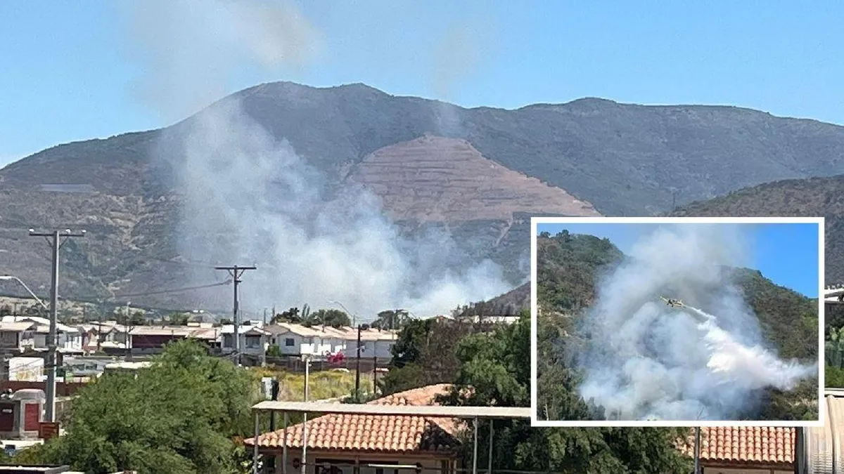 Incendios forestales en Lo Rojas y Laguna Verde devastan la naturaleza y comunidades.