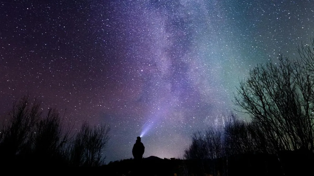 Explora las constelaciones oscuras de la Vía Láctea en el cielo chileno.