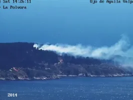 Alerta Roja en Laguna Verde: 100 evacuados por incendio forestal en Valparaíso.