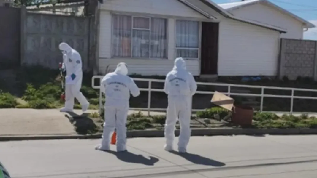 Mujer grave tras ser apuñalada por su excuñada en Punta Arenas; atacante huye.