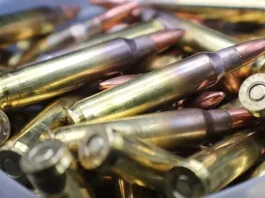 Detenido en Ercilla con munición de guerra y herramientas para delitos.