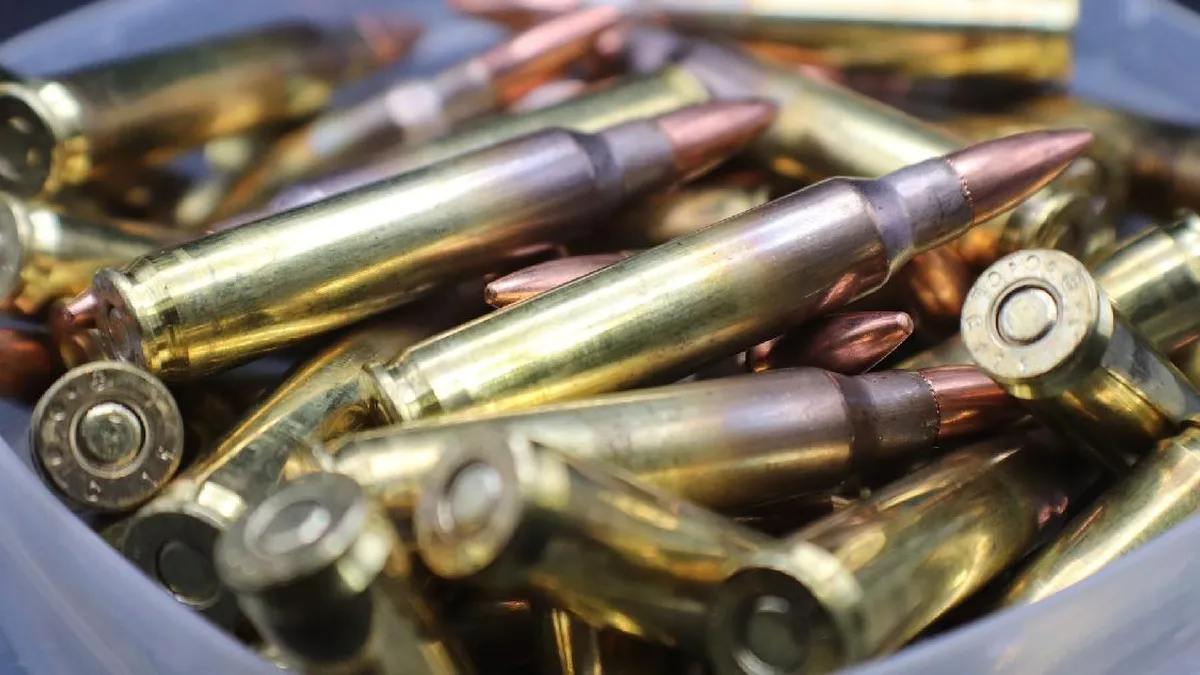 Detenido en Ercilla con munición de guerra y herramientas para delitos.