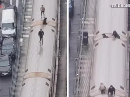 Tragedia en EE.UU.: Seis menores pierden la vida en un reto mortal entre trenes.