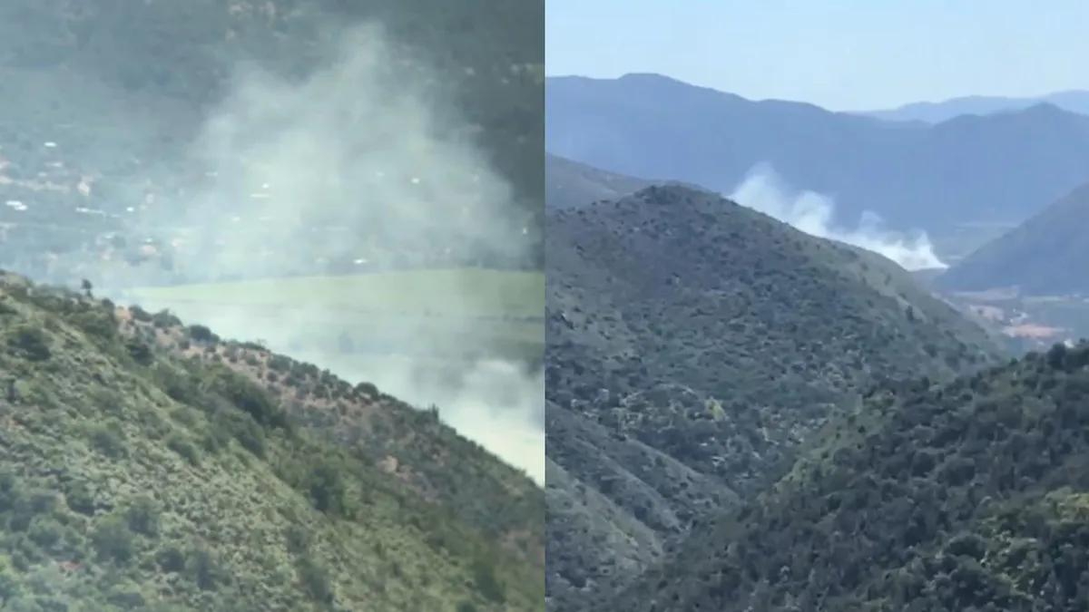 Bomberos y CONAF luchan contra incendio en Melipilla; Senapred declara Alerta Roja.