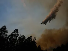 Reunión clave del gobierno con alcaldes del Bío Bío para enfrentar incendios.