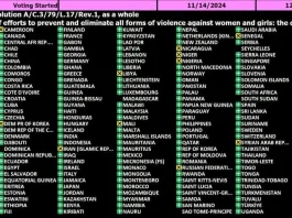 Argentina: de vanguardia a retroceso en la lucha contra la violencia hacia la mujer.